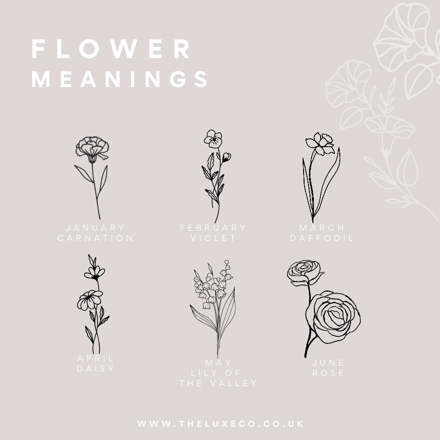 Illustrations of flowers with their corresponding months and meanings on a light gray background.