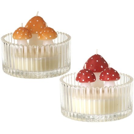 Toadstool Candle Duo Gift Boxed