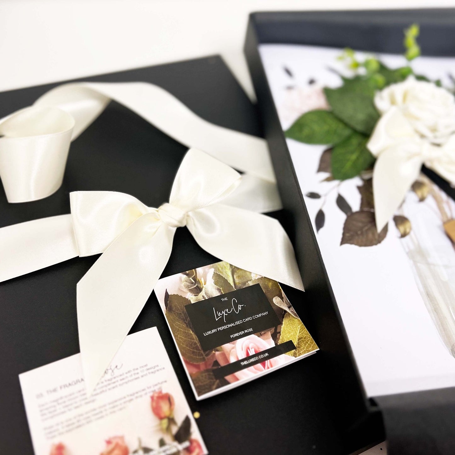 Forever Rose: Ivory Boxed ivory rose greeting cards