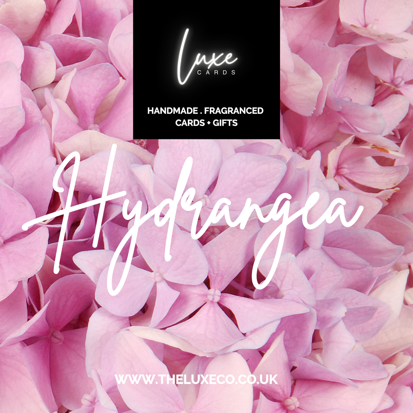 BLOOM HYDRANGEA Scented Silk Flowers in Perfume Bottle A4 Boxed Card Design