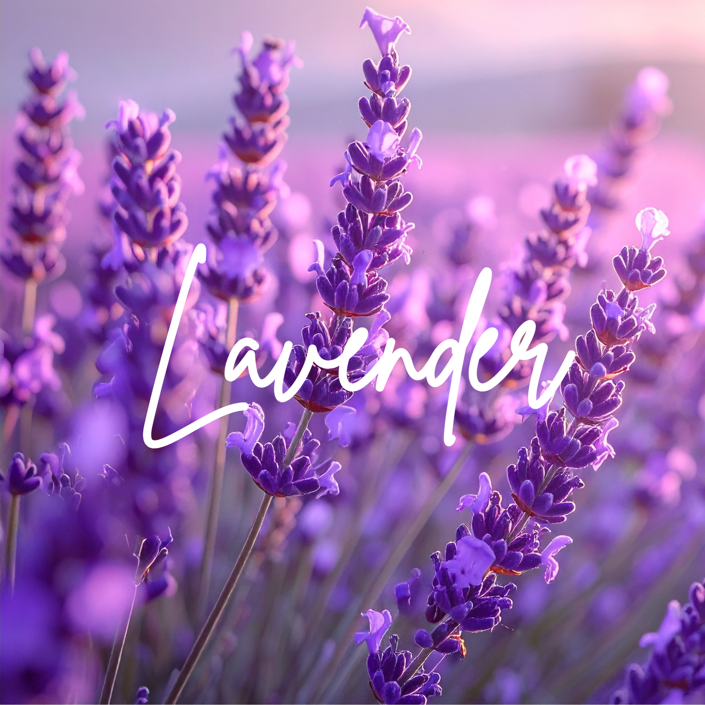 Lavender scented greetings cards by Luxe Cards