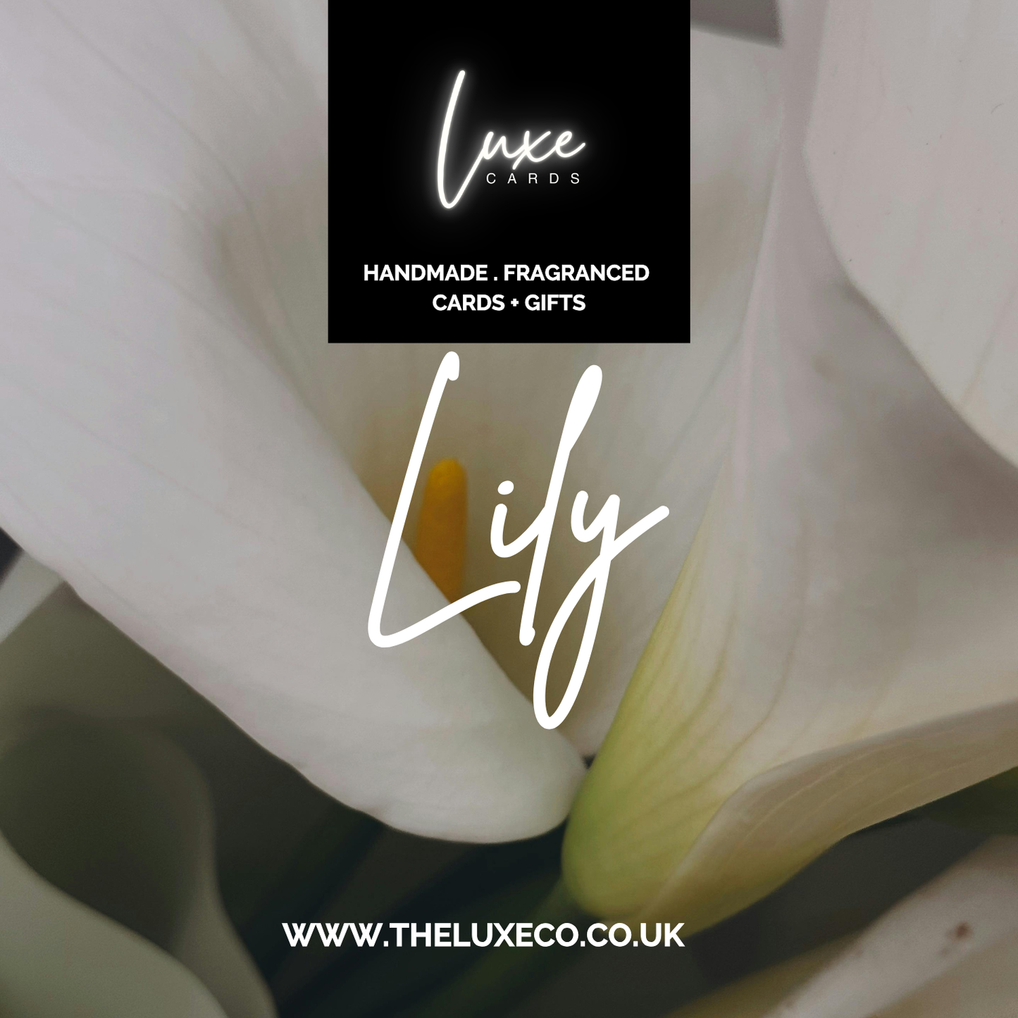 Bloomin Fabulous Lily Sympathy Scented A5 Card with envelope