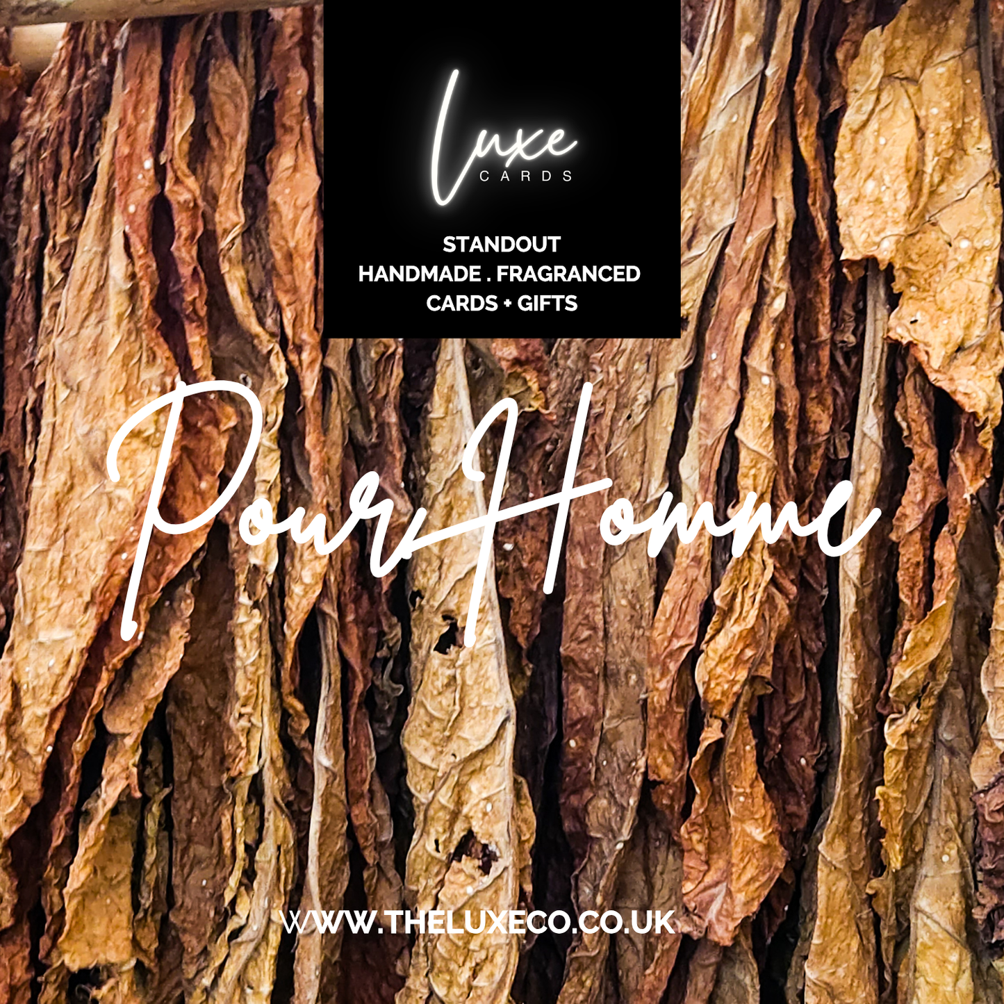 SUITED + BOOTED Pour Homme Suit, Tie + Buttoniere Card Design