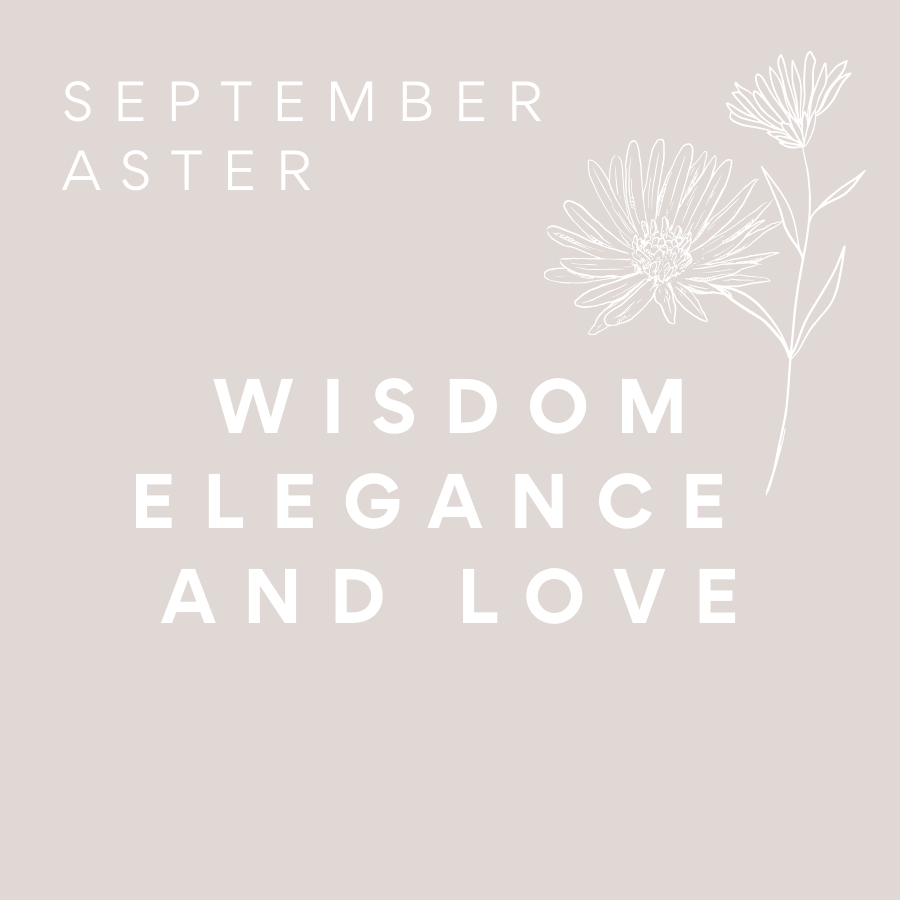 Bloom Scented Aster September Birth Flower Card