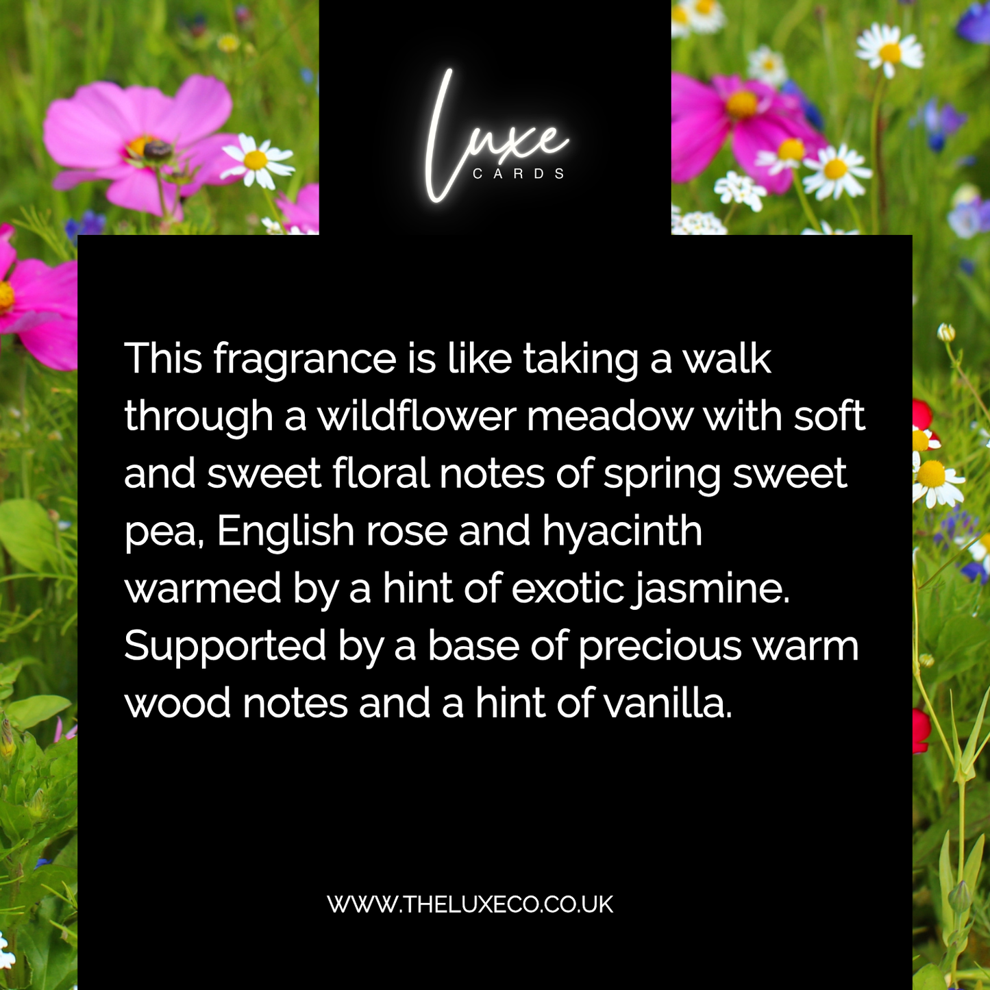 Wildflower Scented Candle Gift Boxed