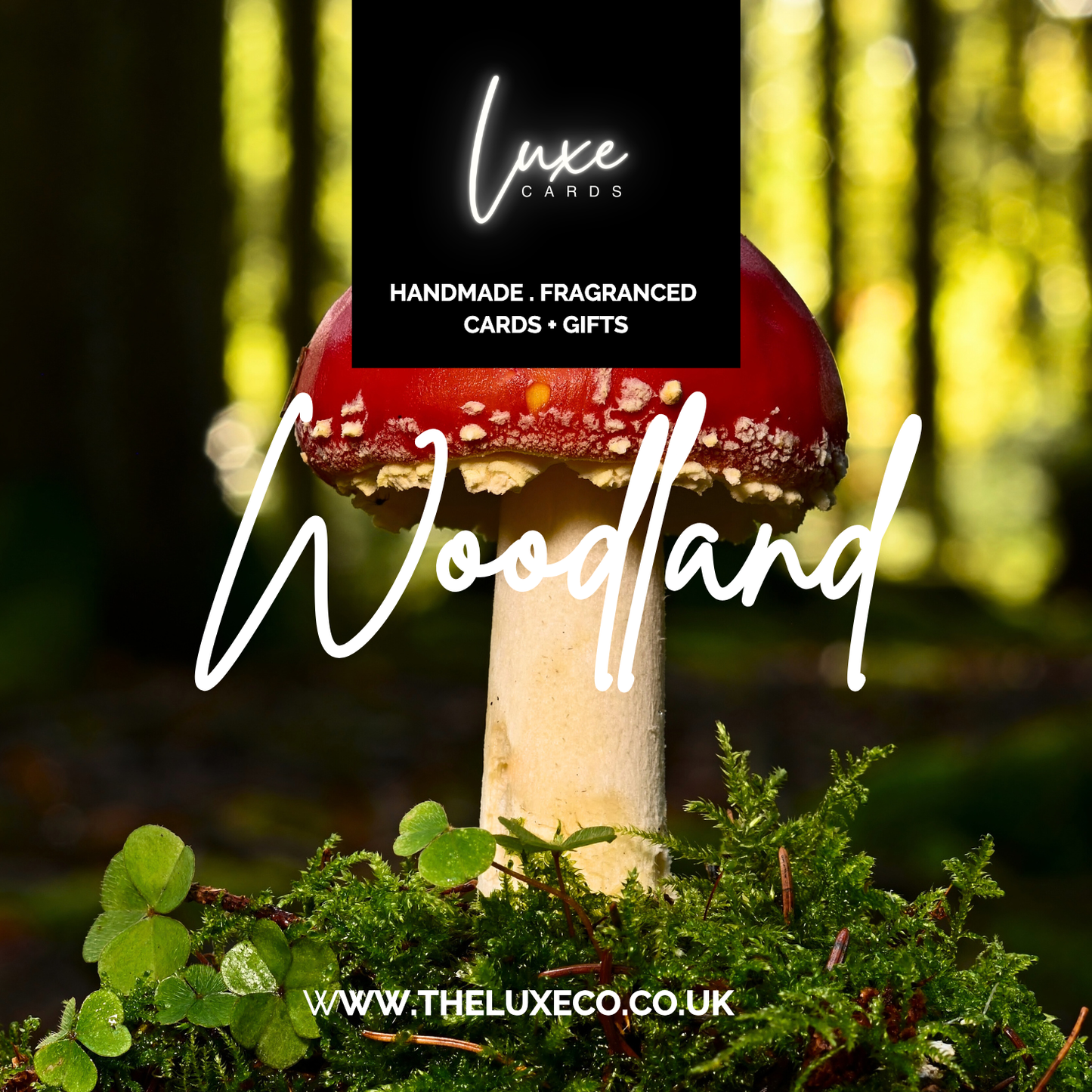 Set of 3 Woodland Butterfly Scented Magical & Wonderful Greetings Cards