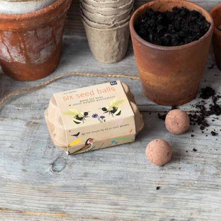 Box of Bees Seed Balls - Pre Order Today