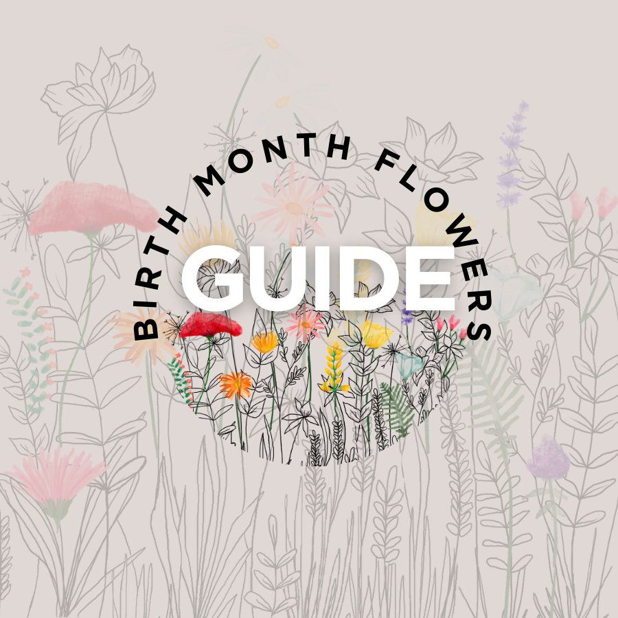 What Birthday flower are you? Check out our handy guide for each month
