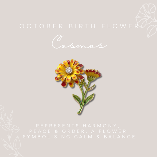 October Birth Flower - Cosmos Flower Enamelled Brooch in Box