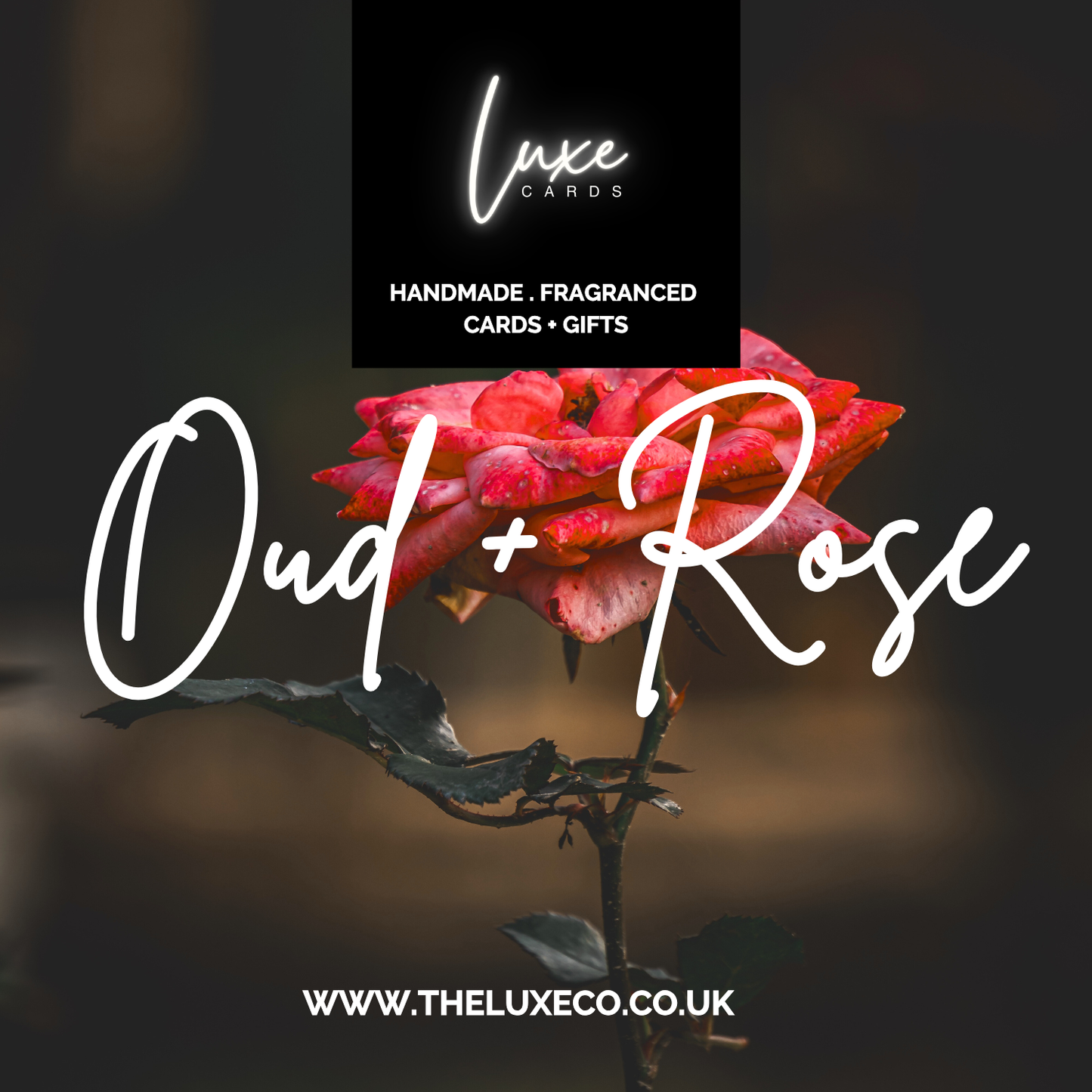 Set of 3 Fairytale 'You are Magical & Wonderful!' Oud & Rose Handmade Cards