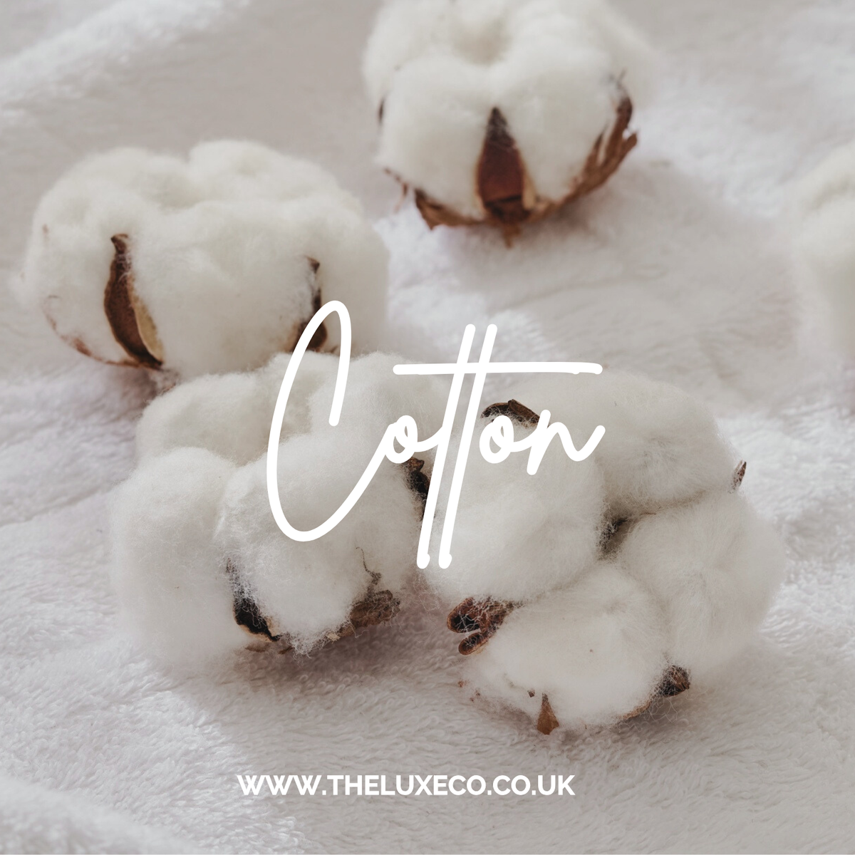 10g Cotton Elixir Home Fragrance Oil