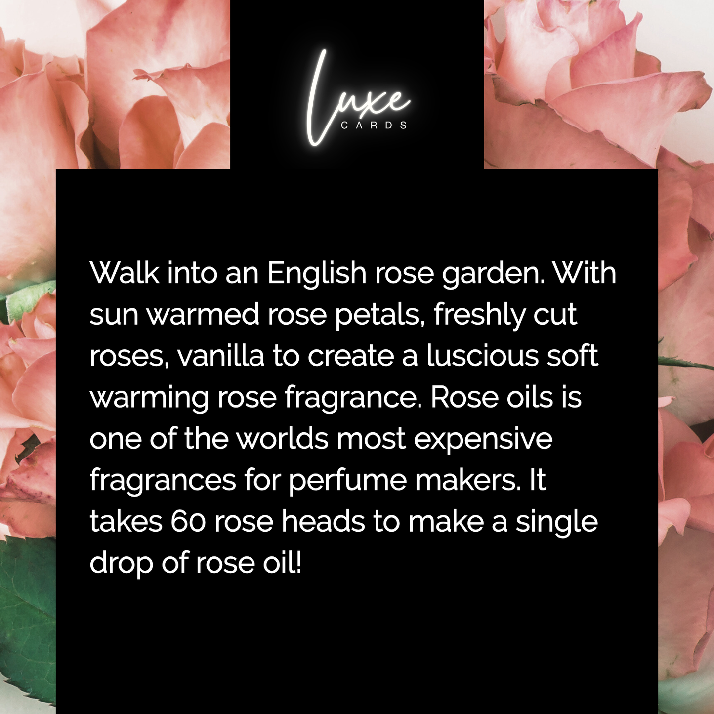 10g Rose Elixir Home Fragrance Oil