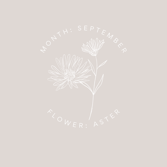 Bloom Scented Aster September Birth Flower Card