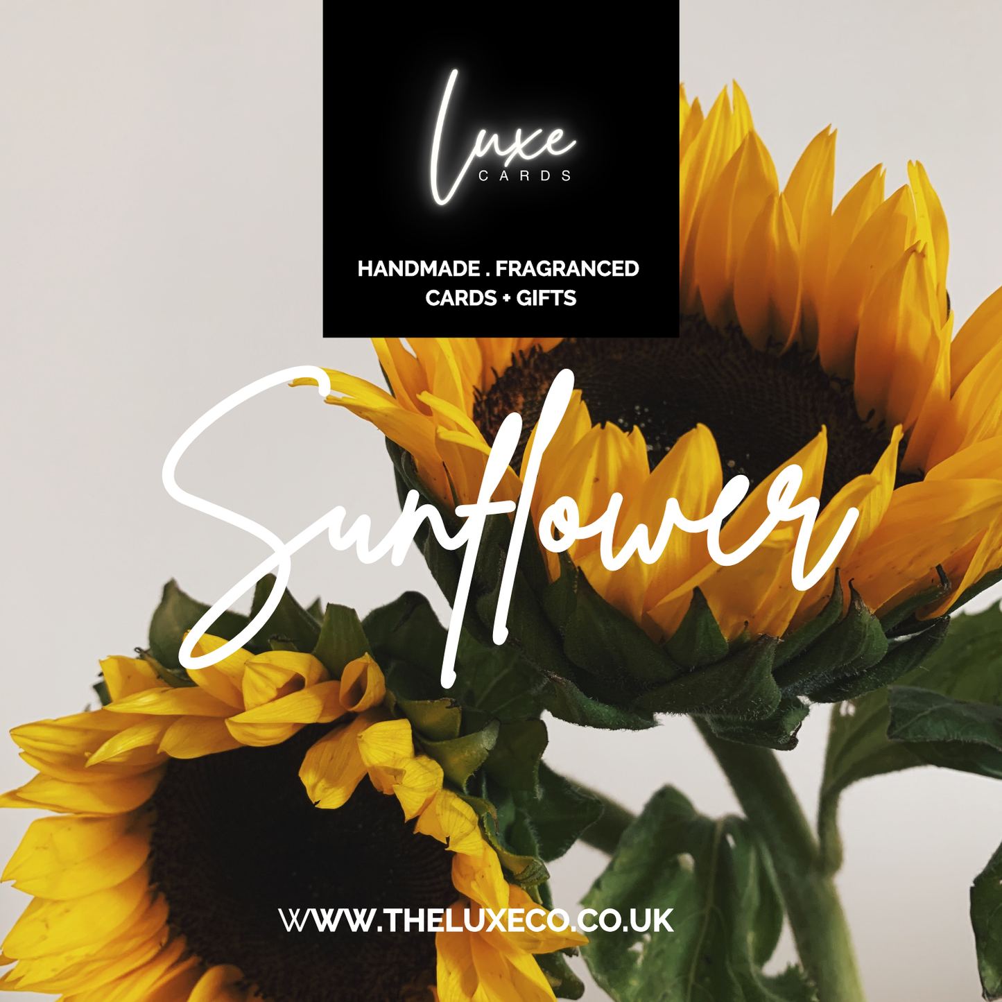 Sunflower Elixir Home Fragrance Oil 10g