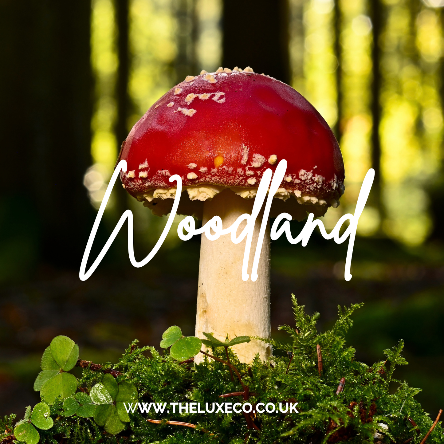 Woodland Scented Candle Gift Boxed