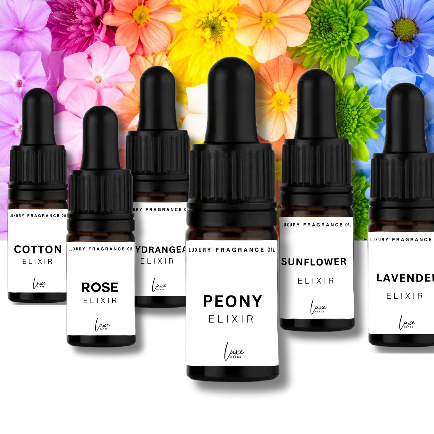 Luxe Monochrome White & Black Oil Burner