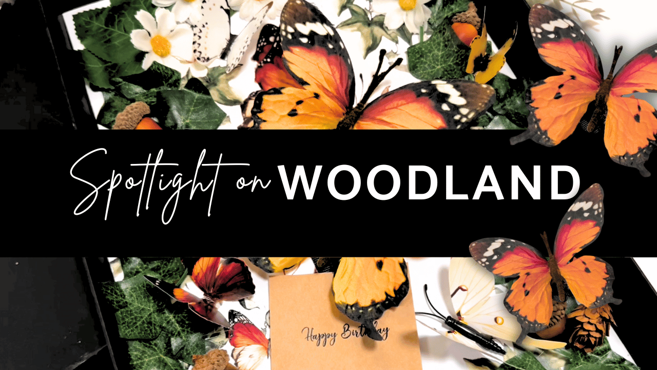 Personalised Luxury Handmade Scented Butterfly Greetings Card for birthdays, weddings, mothers day - handmade with velvet butterfly, 3d butterflies, silk daisy flowers, trailing ivy and a tag reads 'You Give me Butterflies' followed by personal printed message. 