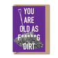 very rude birthday card you are as old as f*****g dirt clean version