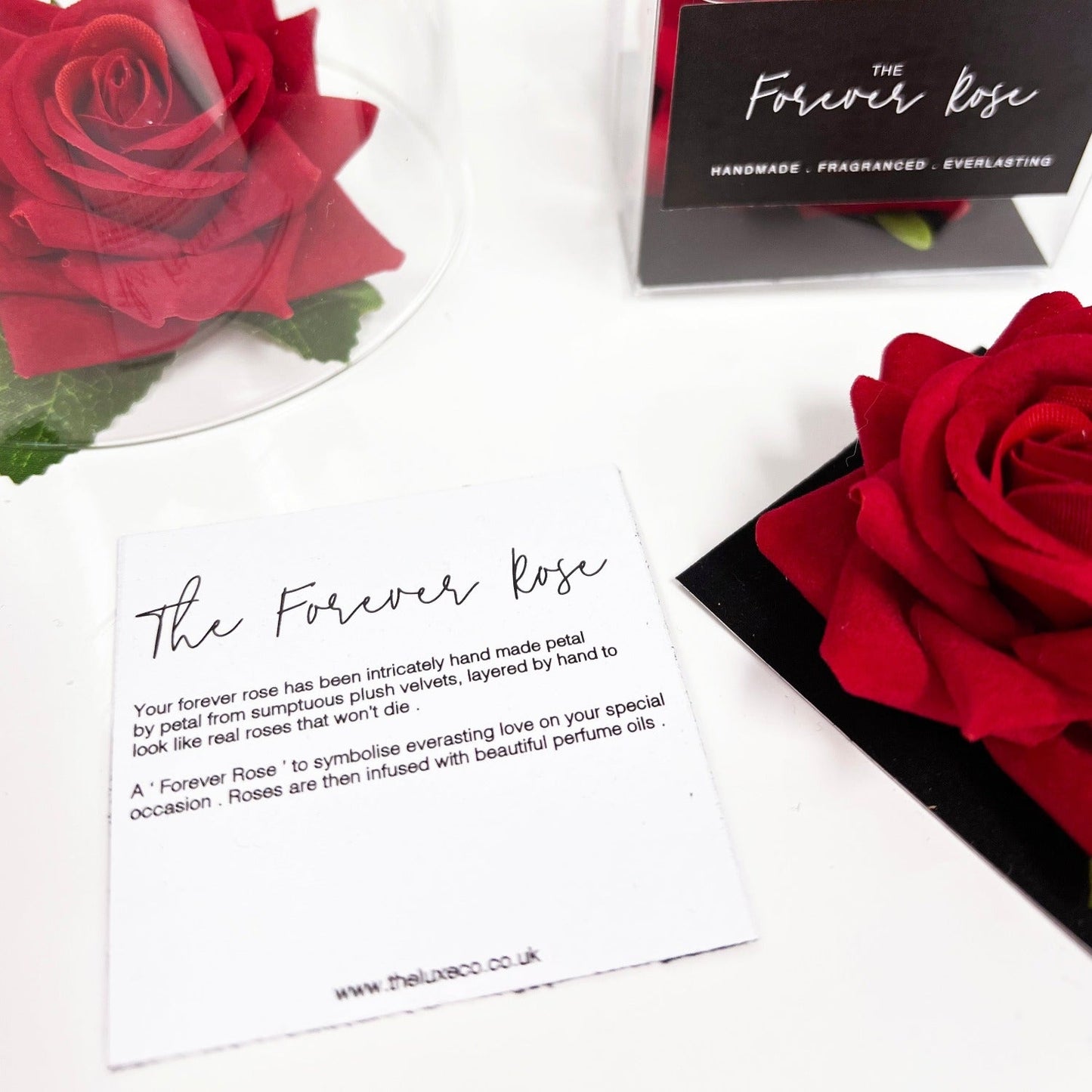 Everlasting Red Rose in a Box - To symbolise Everlasting Love