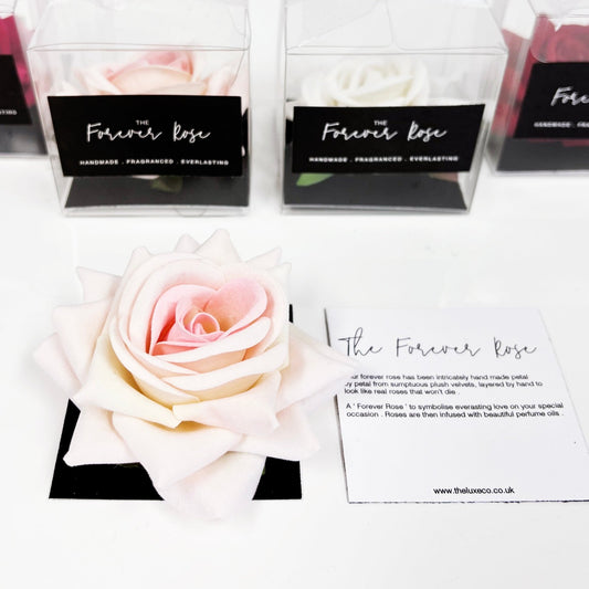 Blush Forever Rose Gift - Fragranced with rose + moss