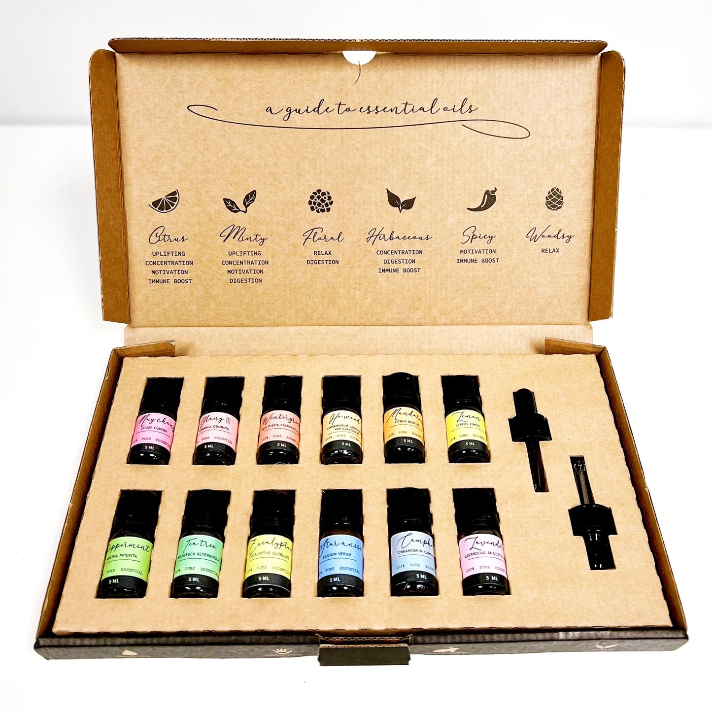 Aromatherapy Essential Oils Starter Gift set including 12 rainbow essential oils